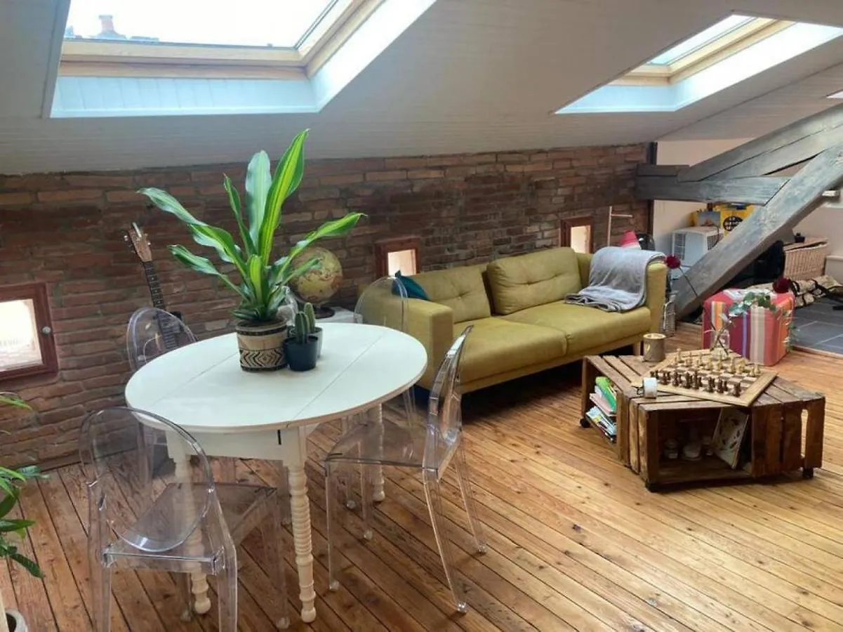 Calm Loft Gare Sncf Toulouse Centre Apartamento 0*,